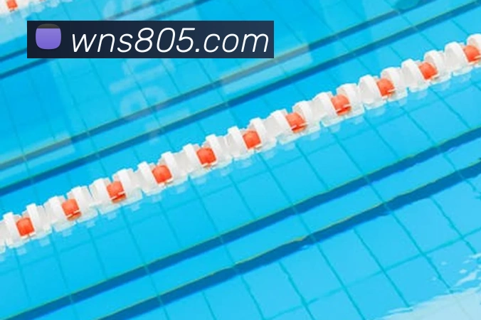 多彩内容专区